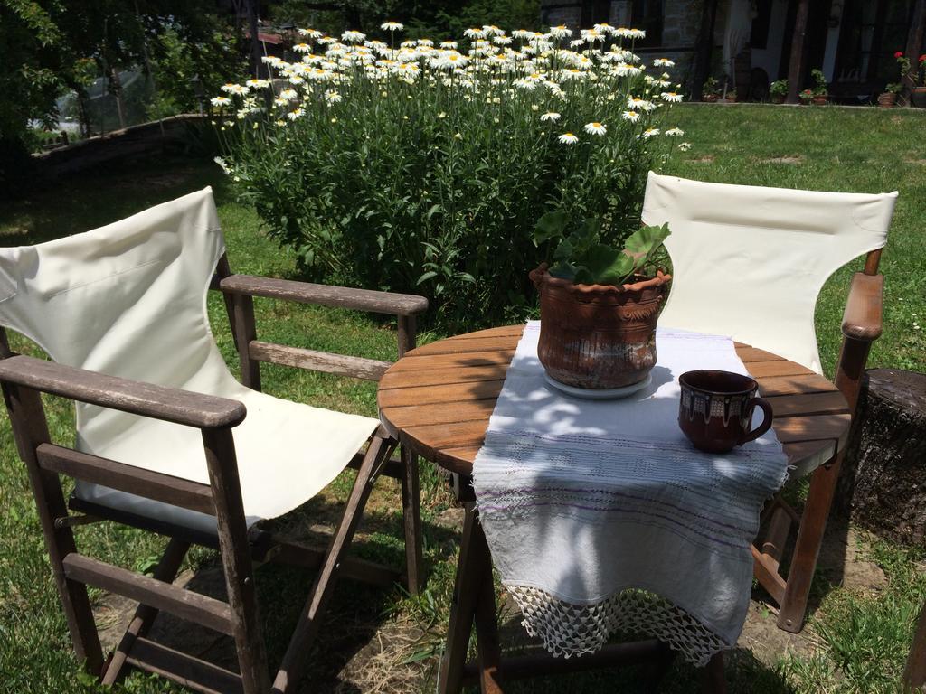 Stefanina Guesthouse Bozjentsi Eksteriør bilde