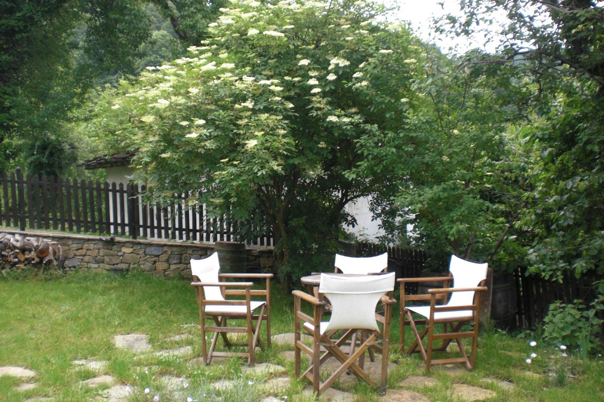 Stefanina Guesthouse Bozjentsi Eksteriør bilde