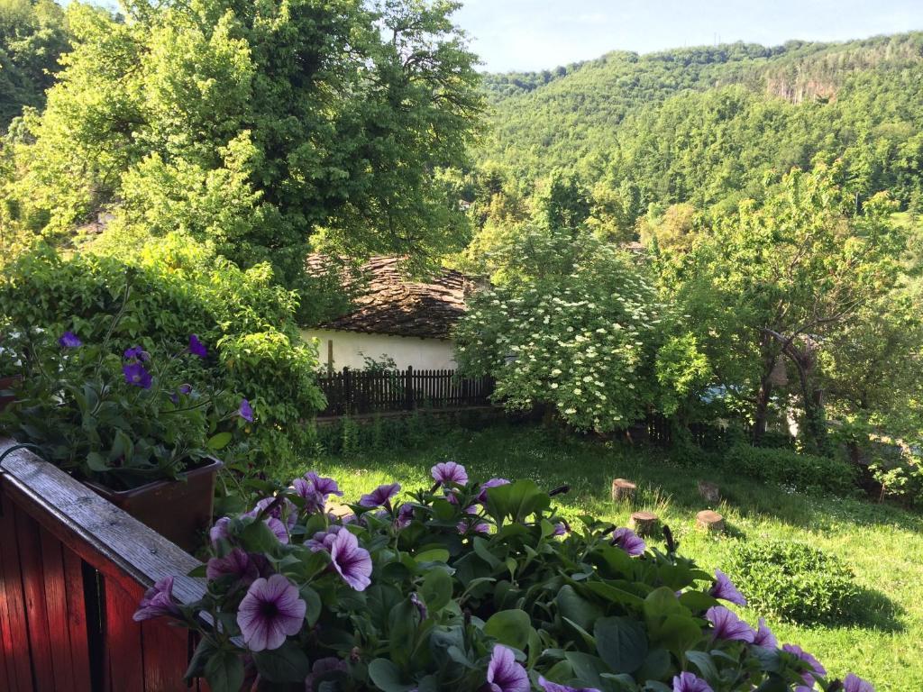 Stefanina Guesthouse Bozjentsi Eksteriør bilde